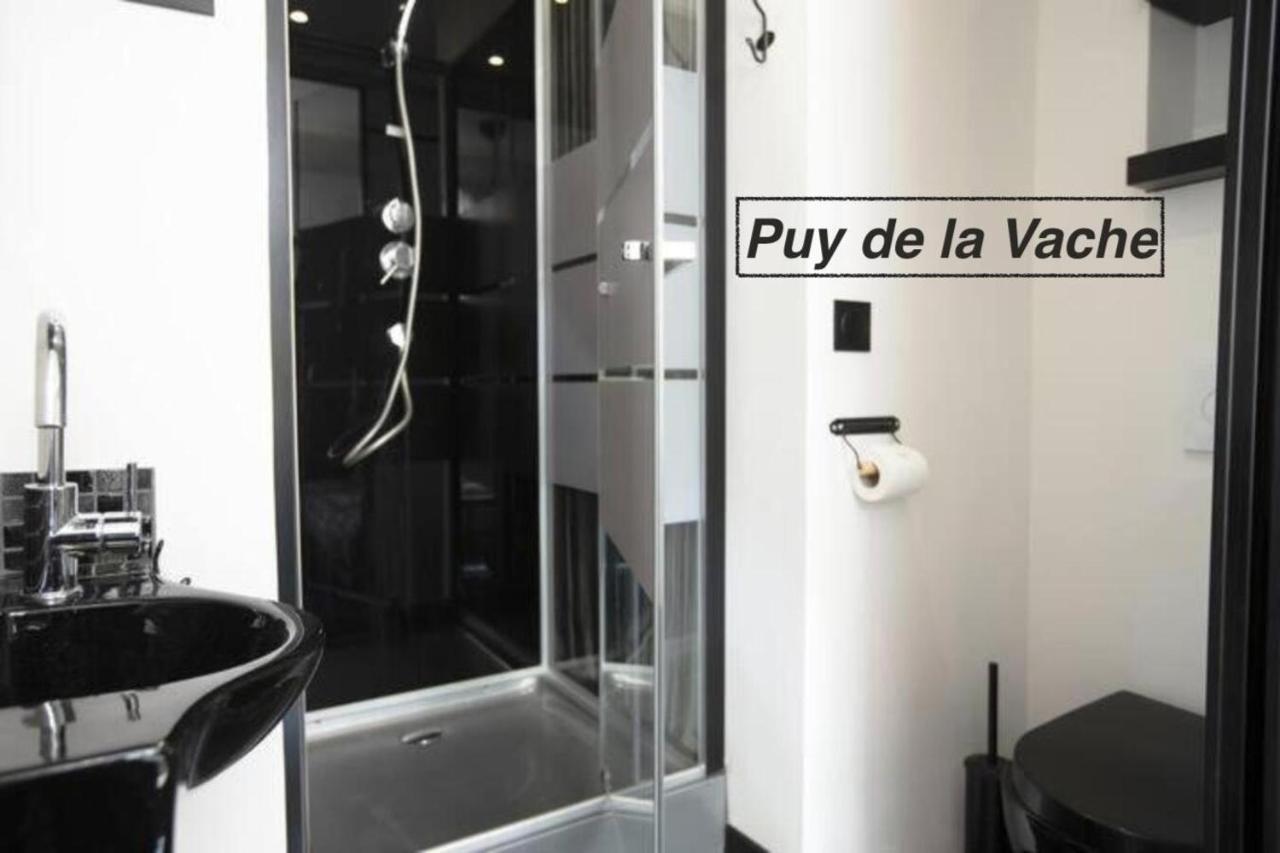 Chaine Des Puys Avec Garages Attenants